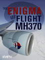 Смотреть «MH-370's Enigma» онлайн фильм в хорошем качестве