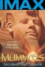 Смотреть «Мумии: Секреты фараонов 3D» онлайн фильм в хорошем качестве