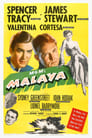 Малайя (1949) скачать бесплатно в хорошем качестве без регистрации и смс 1080p