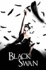 Чёрный лебедь (2010) скачать бесплатно в хорошем качестве без регистрации и смс 1080p