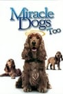 Смотреть «Зак и чудо-собаки» онлайн фильм в хорошем качестве