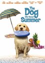 The Dog Who Saved Summer (2015) кадры фильма смотреть онлайн в хорошем качестве