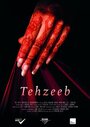 Tehzeeb (2015) трейлер фильма в хорошем качестве 1080p