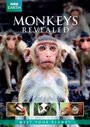 Все о мире обезьян (2014) кадры фильма смотреть онлайн в хорошем качестве