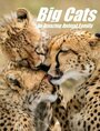 Смотреть «Кошки: Удивительная звериная семейка» онлайн сериал в хорошем качестве