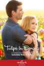 Смотреть «Тюльпаны для Розы» онлайн фильм в хорошем качестве