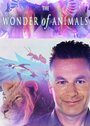 BBC. Чудеса животного мира (2014) трейлер фильма в хорошем качестве 1080p