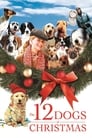 12 рождественских собак (2005) кадры фильма смотреть онлайн в хорошем качестве