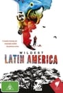 В дебрях Латинской Америки (2012) трейлер фильма в хорошем качестве 1080p