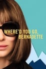Смотреть «Куда ты пропала, Бернадетт?» онлайн фильм в хорошем качестве