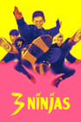 Три ниндзя (1992) кадры фильма смотреть онлайн в хорошем качестве