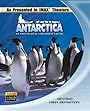 Антарктика: Путешествие в неизвестную природу (1991) скачать бесплатно в хорошем качестве без регистрации и смс 1080p