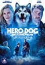 Собака-герой: путешествие домой (2021) кадры фильма смотреть онлайн в хорошем качестве