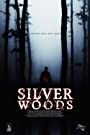 Смотреть «Серебрянный лес» онлайн фильм в хорошем качестве