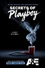 Секреты Playboy (2022) скачать бесплатно в хорошем качестве без регистрации и смс 1080p