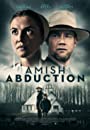 Смотреть «Похищение амиша» онлайн фильм в хорошем качестве