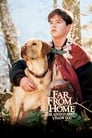 Далеко от дома: Приключения желтого пса (1994) кадры фильма смотреть онлайн в хорошем качестве