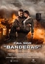 Смотреть «Позывной «Бандерас»» онлайн фильм в хорошем качестве