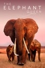Смотреть «Королева слонов» онлайн фильм в хорошем качестве