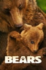 Смотреть «Медведи» онлайн фильм в хорошем качестве