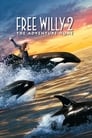 Смотреть «Освободите Вилли 2: Новое приключение» онлайн фильм в хорошем качестве