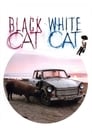 Черная кошка, белый кот (1998) кадры фильма смотреть онлайн в хорошем качестве