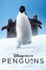 Пингвины (2019) кадры фильма смотреть онлайн в хорошем качестве