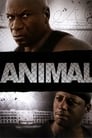 Животное (2005) кадры фильма смотреть онлайн в хорошем качестве
