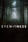 Свидетели (2016) трейлер фильма в хорошем качестве 1080p