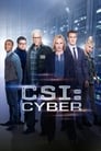 CSI: Киберпространство (2015) кадры фильма смотреть онлайн в хорошем качестве