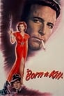 Рожденный убивать (1947) трейлер фильма в хорошем качестве 1080p