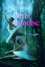 Смотреть «Райские птицы» онлайн фильм в хорошем качестве