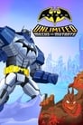 Безграничный Бэтмен: Роботы против мутантов (2016) скачать бесплатно в хорошем качестве без регистрации и смс 1080p