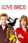 Любовные пташки (2011) кадры фильма смотреть онлайн в хорошем качестве