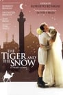Тигр и снег (2005) кадры фильма смотреть онлайн в хорошем качестве