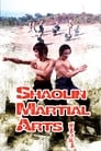 Смотреть «Боевые искусства Шаолиня» онлайн фильм в хорошем качестве