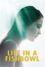 Жизнь на виду (2014) трейлер фильма в хорошем качестве 1080p