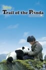 След панды (2009) кадры фильма смотреть онлайн в хорошем качестве