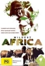 Смотреть «В дебрях Африки» онлайн сериал в хорошем качестве