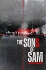Смотреть «Сыновья Сэма. Падение во тьму» онлайн сериал в хорошем качестве