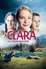 Клара и тайна медведей (2013) кадры фильма смотреть онлайн в хорошем качестве