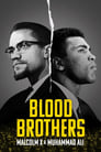 Братья по крови: Малкольм Икс и Мохаммед Али (2021) кадры фильма смотреть онлайн в хорошем качестве