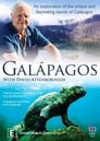 Смотреть «Галапагосы с Дэвидом Аттенборо» онлайн сериал в хорошем качестве