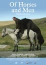 Смотреть «О лошадях и людях» онлайн фильм в хорошем качестве