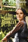 Смотреть «Дерево растет в Бруклине» онлайн фильм в хорошем качестве