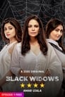 Смотреть «Чёрные вдовы» онлайн сериал в хорошем качестве