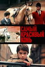 Самый красивый конь (1977) трейлер фильма в хорошем качестве 1080p
