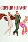 Смотреть «Цветок кактуса» онлайн фильм в хорошем качестве