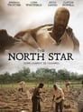 Северная звезда (2016) кадры фильма смотреть онлайн в хорошем качестве