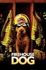 Пожарный пес (2006) кадры фильма смотреть онлайн в хорошем качестве